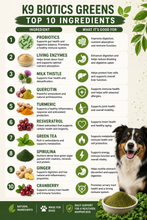Load image into Gallery viewer, K9 Biotics Powder Immune Health Supplement for Dogs 9 oz
