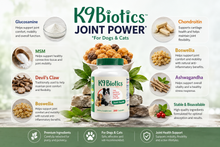 Load image into Gallery viewer, K9 Biotics Joint Health 120 Ct Capsules
